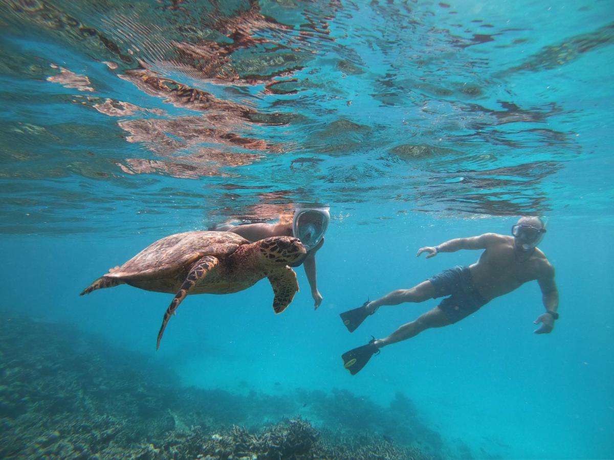 Isla गेस्ट हाउस Dhiffushi